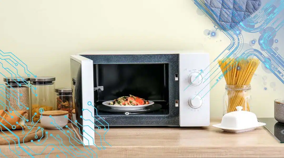 پختن غذا در ماکروفر و سولاردام