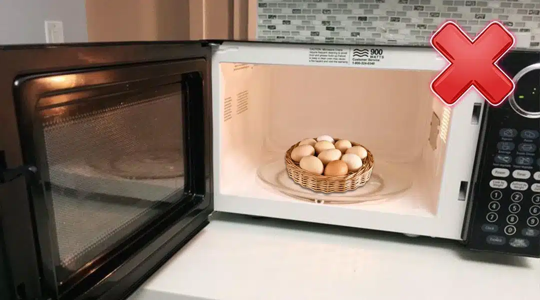 تصویر تخم مرغ داخل ماکروفر