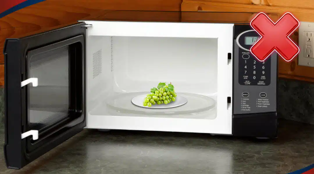 تصویر انگور داخل ماکروفر